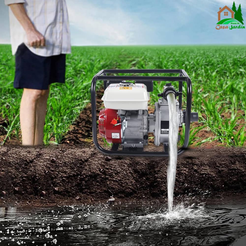 Motobomba de agua LHD WP20